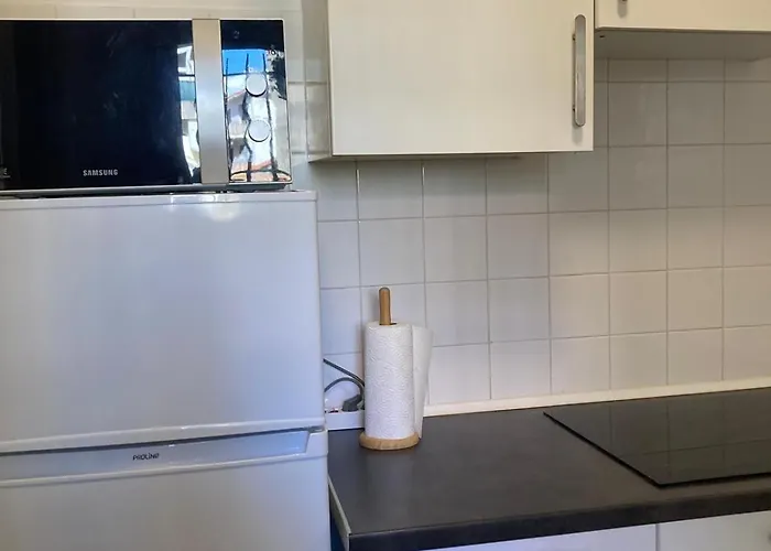 Liberation * Nice